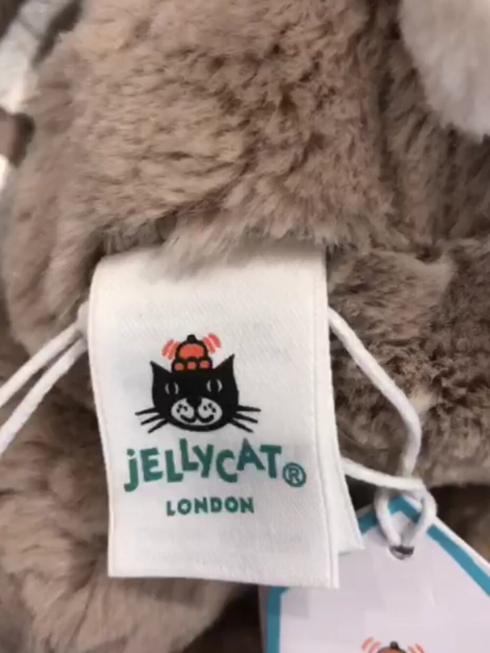 Jellycat Bashful Bunny Graduation - BNWT - Picture 5 of 8